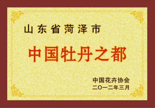 协会.jpg