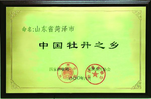 协会2.jpg