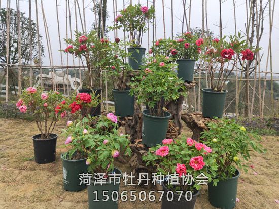 戳我试试