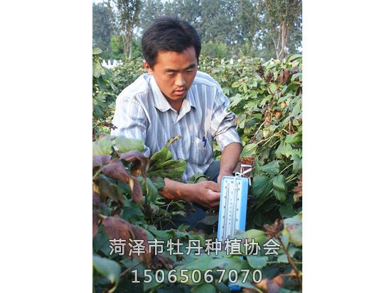 微信图片_20190308110236 副本.jpg