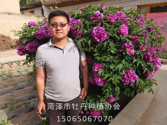 手机站 副本.jpg
