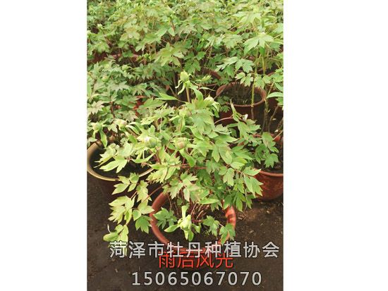 戳我试试