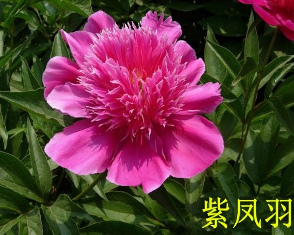戳我试试