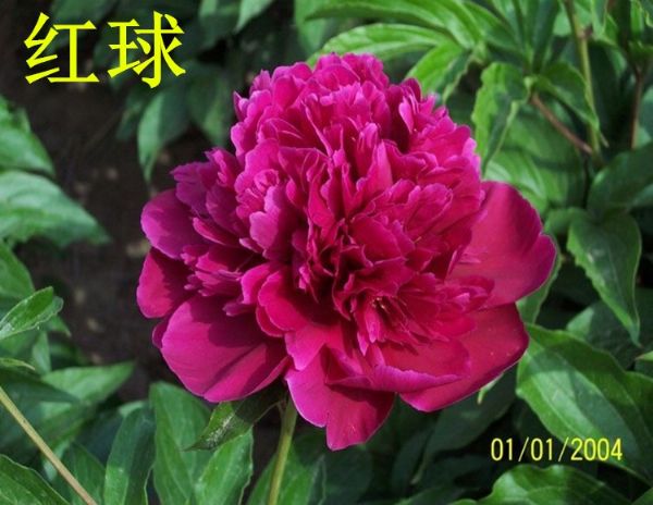 戳我试试